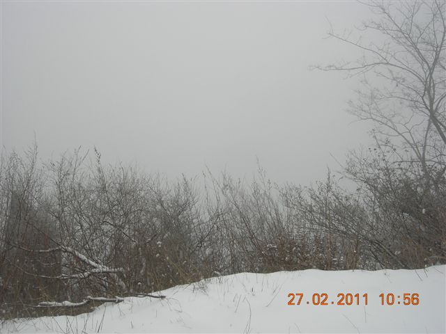110227    香山踏雪 099.jpg