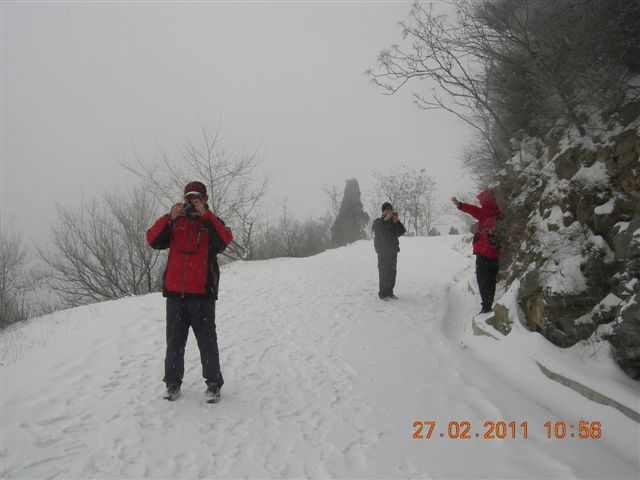 110227    香山踏雪 100.jpg