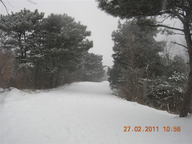 110227    香山踏雪 102.jpg