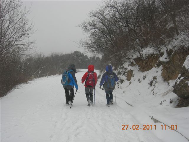 110227    香山踏雪 103.jpg