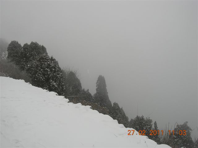 110227    香山踏雪 105.jpg