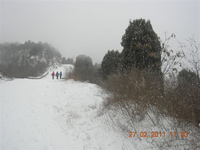 110227    香山踏雪 106.jpg