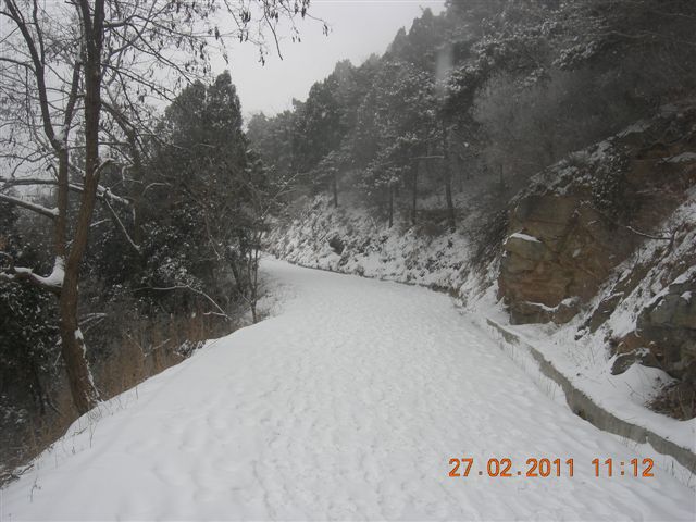 110227    香山踏雪 109.jpg