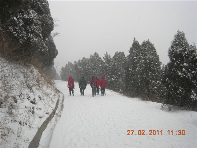 110227    香山踏雪 119.jpg