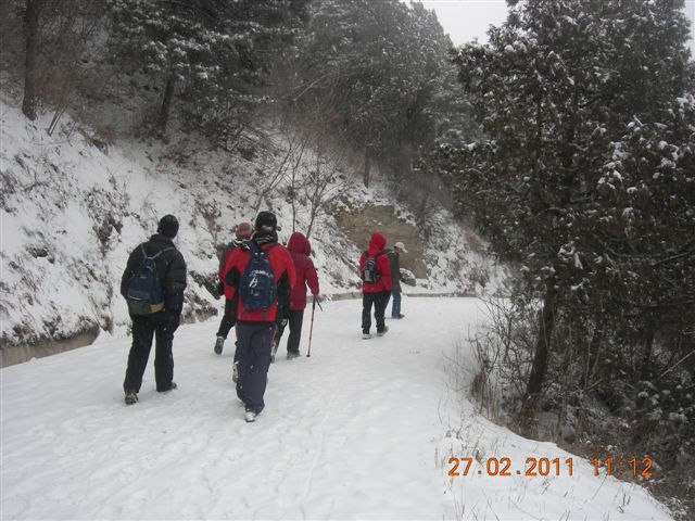 110227    香山踏雪 111.jpg