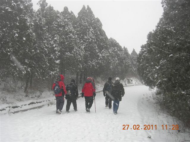 110227    香山踏雪 115.jpg