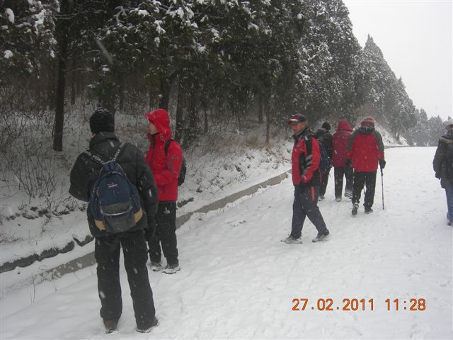 110227    香山踏雪 116.jpg