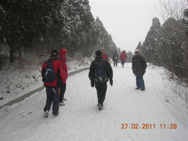 110227    香山踏雪 117.jpg