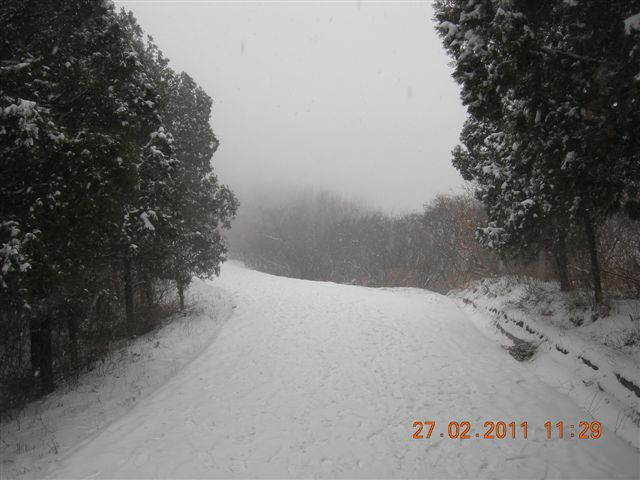 110227    香山踏雪 118.jpg