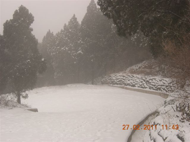 110227    香山踏雪 140.jpg