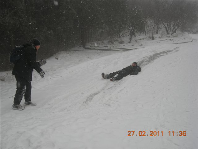 110227    香山踏雪 120.jpg