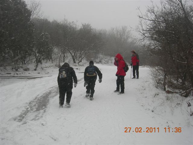 110227    香山踏雪 121.jpg