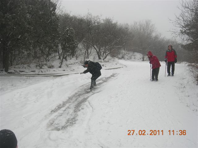 110227    香山踏雪 123.jpg