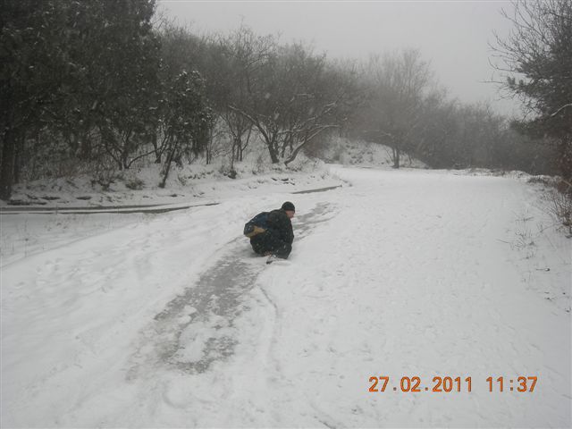 110227    香山踏雪 125.jpg