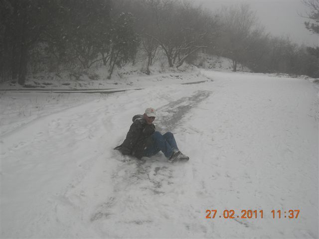 110227    香山踏雪 127.jpg