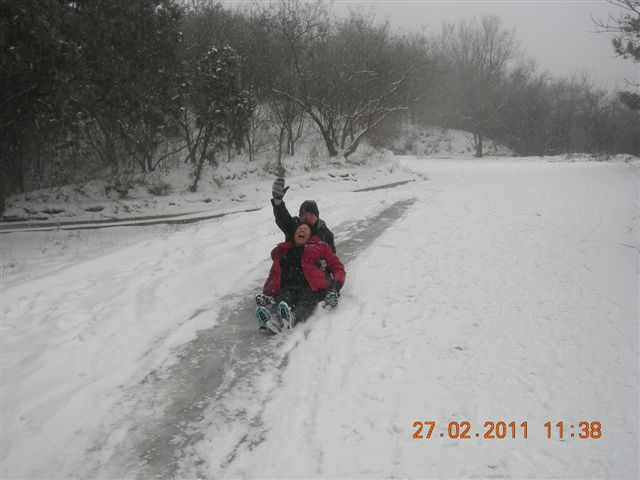 110227    香山踏雪 131.jpg