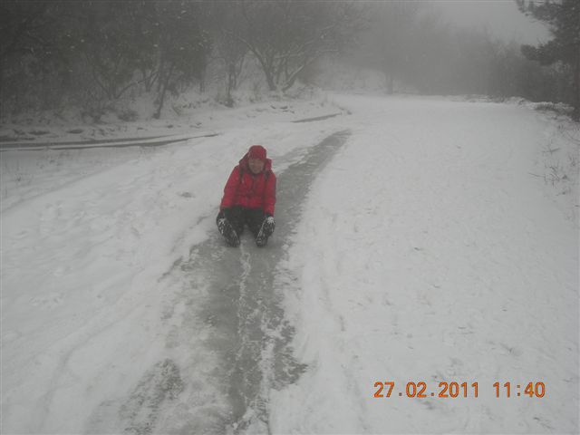 110227    香山踏雪 133.jpg