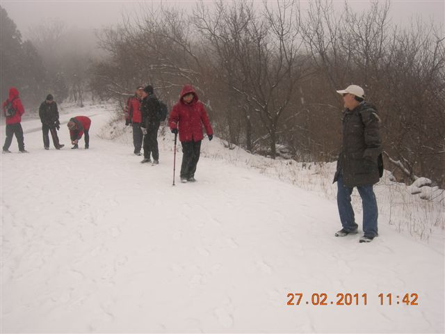 110227    香山踏雪 135.jpg