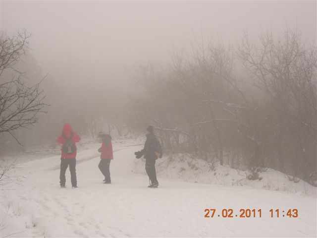 110227    香山踏雪 138.jpg