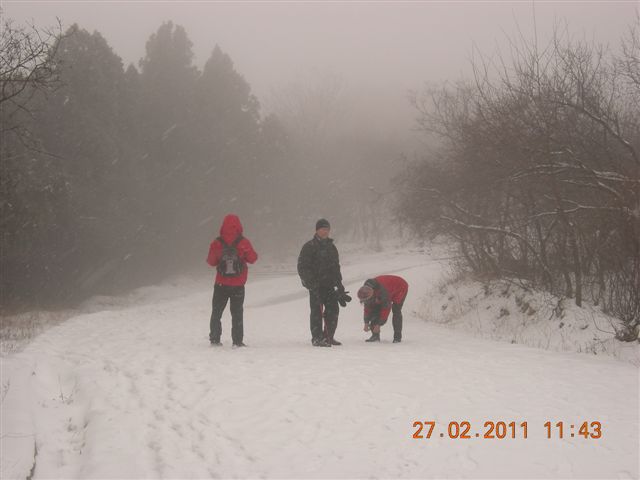 110227    香山踏雪 137.jpg