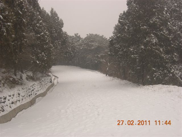 110227    香山踏雪 141.jpg