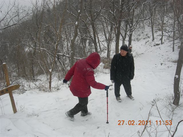 110227    香山踏雪 142.jpg