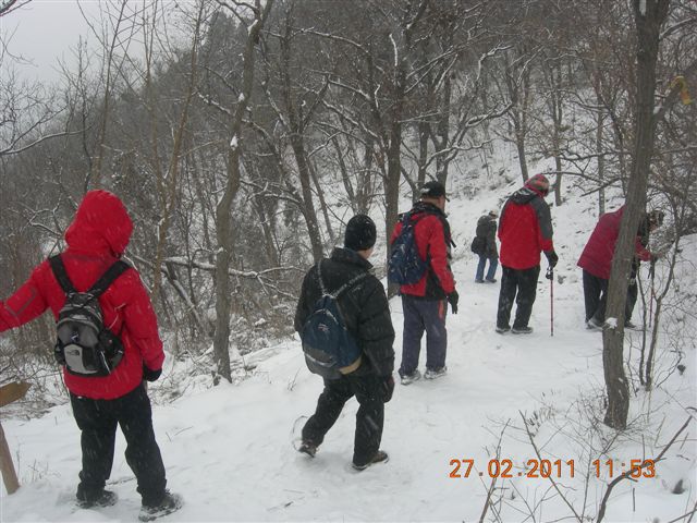 110227    香山踏雪 143.jpg