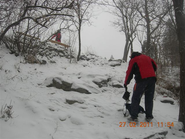 110227    香山踏雪 144.jpg