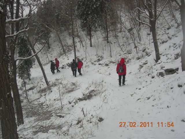 110227    香山踏雪 145.jpg