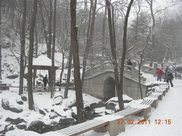 110227    香山踏雪 149.jpg