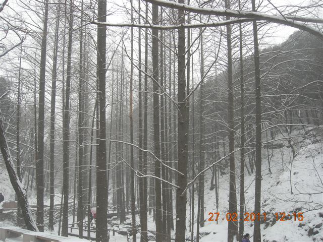 110227    香山踏雪 150.jpg