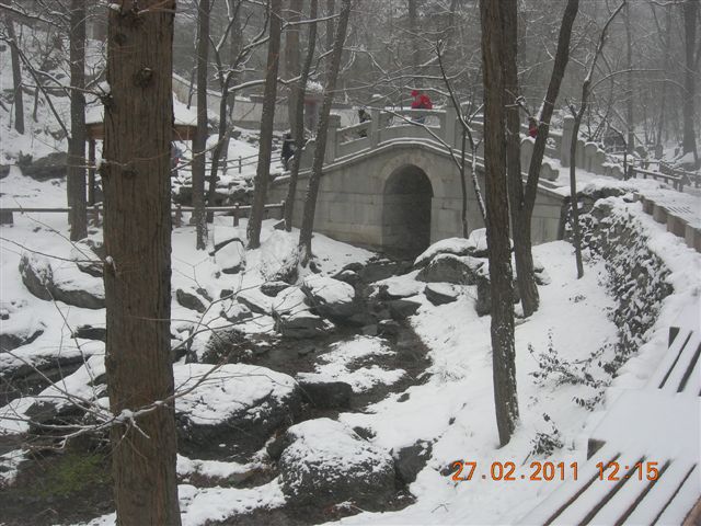 110227    香山踏雪 152.jpg