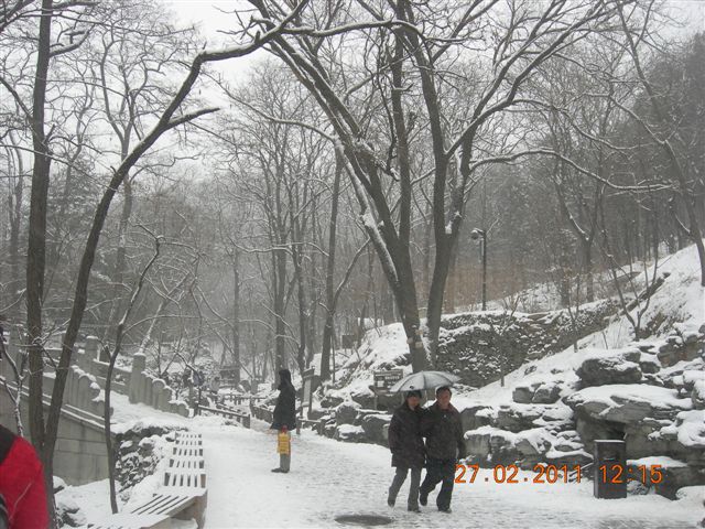 110227    香山踏雪 153.jpg