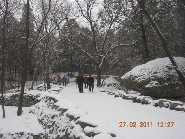 110227    香山踏雪 154.jpg