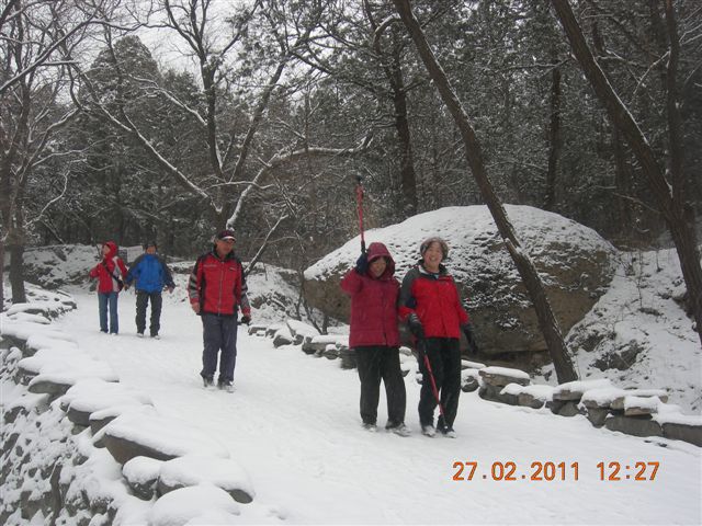 110227    香山踏雪 156.jpg