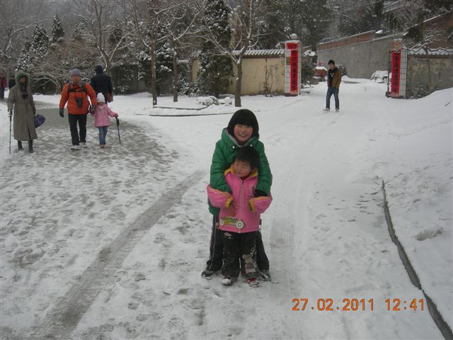 110227    香山踏雪 158.jpg