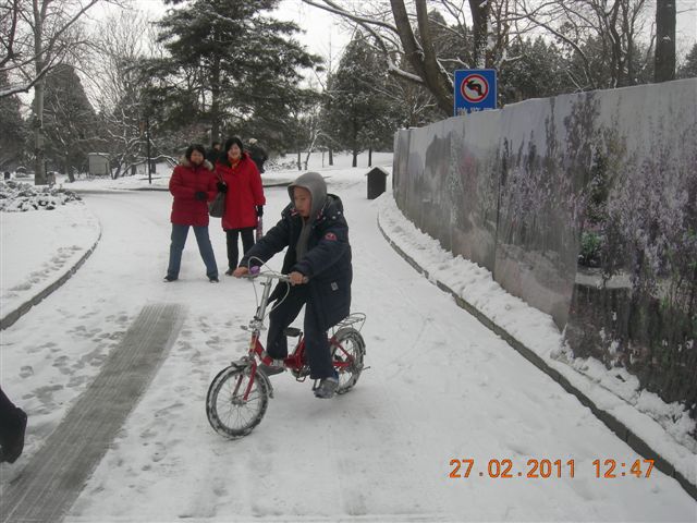 110227    香山踏雪 162.jpg