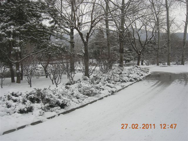 110227    香山踏雪 163.jpg