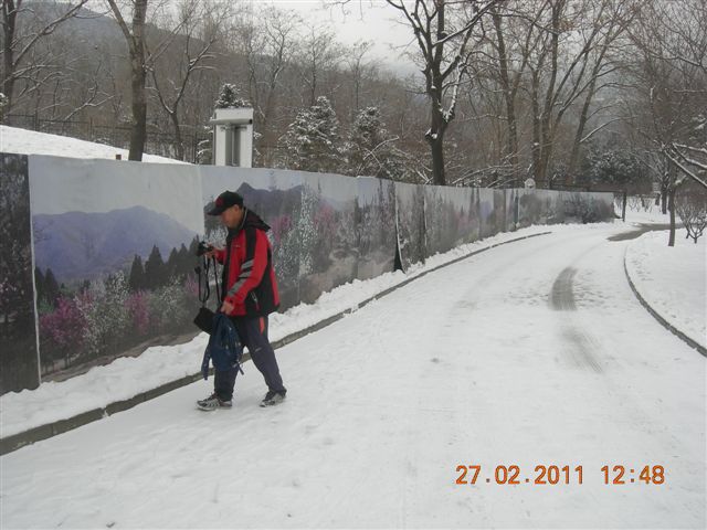 110227    香山踏雪 166.jpg