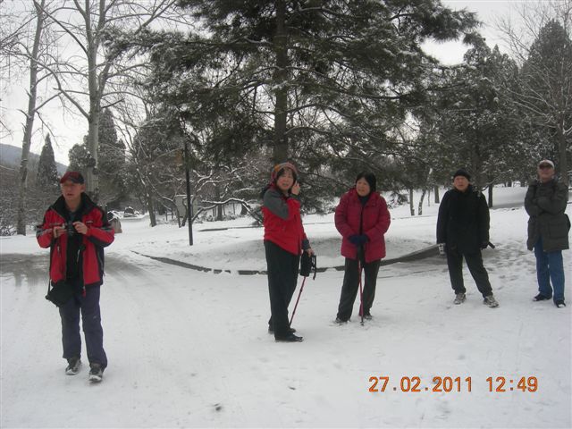 110227    香山踏雪 167.jpg