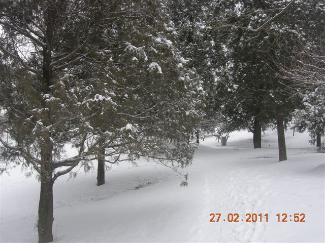 110227    香山踏雪 169.jpg