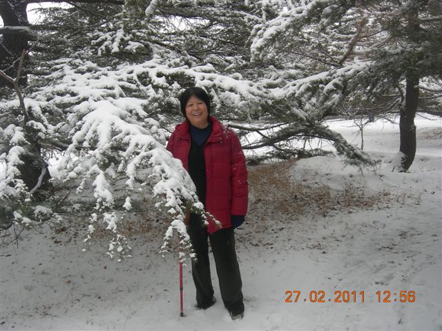 110227    香山踏雪 176.jpg