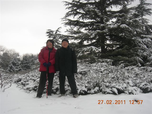 110227    香山踏雪 179.jpg