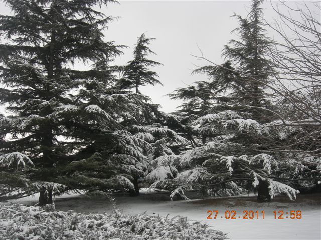 110227    香山踏雪 181.jpg