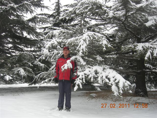 110227    香山踏雪 182.jpg