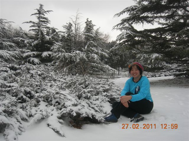 110227    香山踏雪 184.jpg