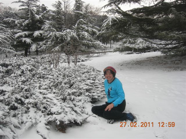 110227    香山踏雪 185.jpg