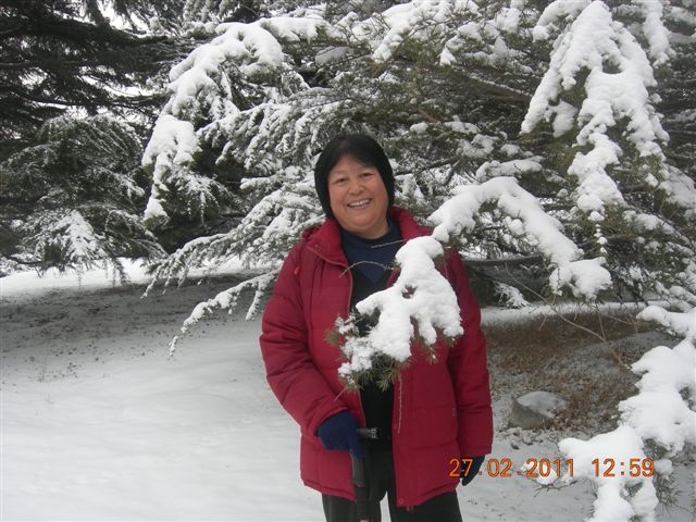 110227    香山踏雪 186.jpg