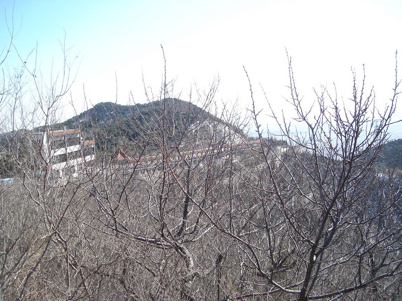 DSC07428_缩小大小.JPG
