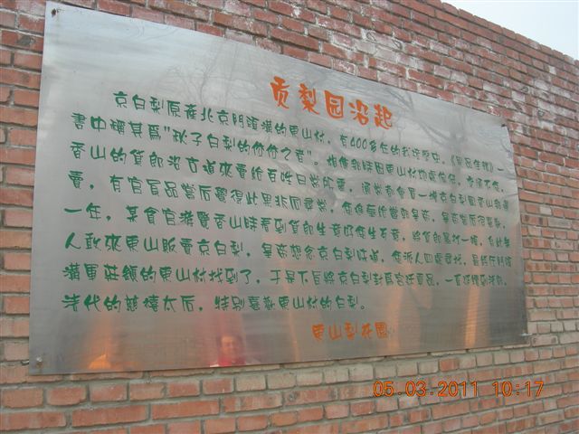 110305  爬东山 010.jpg